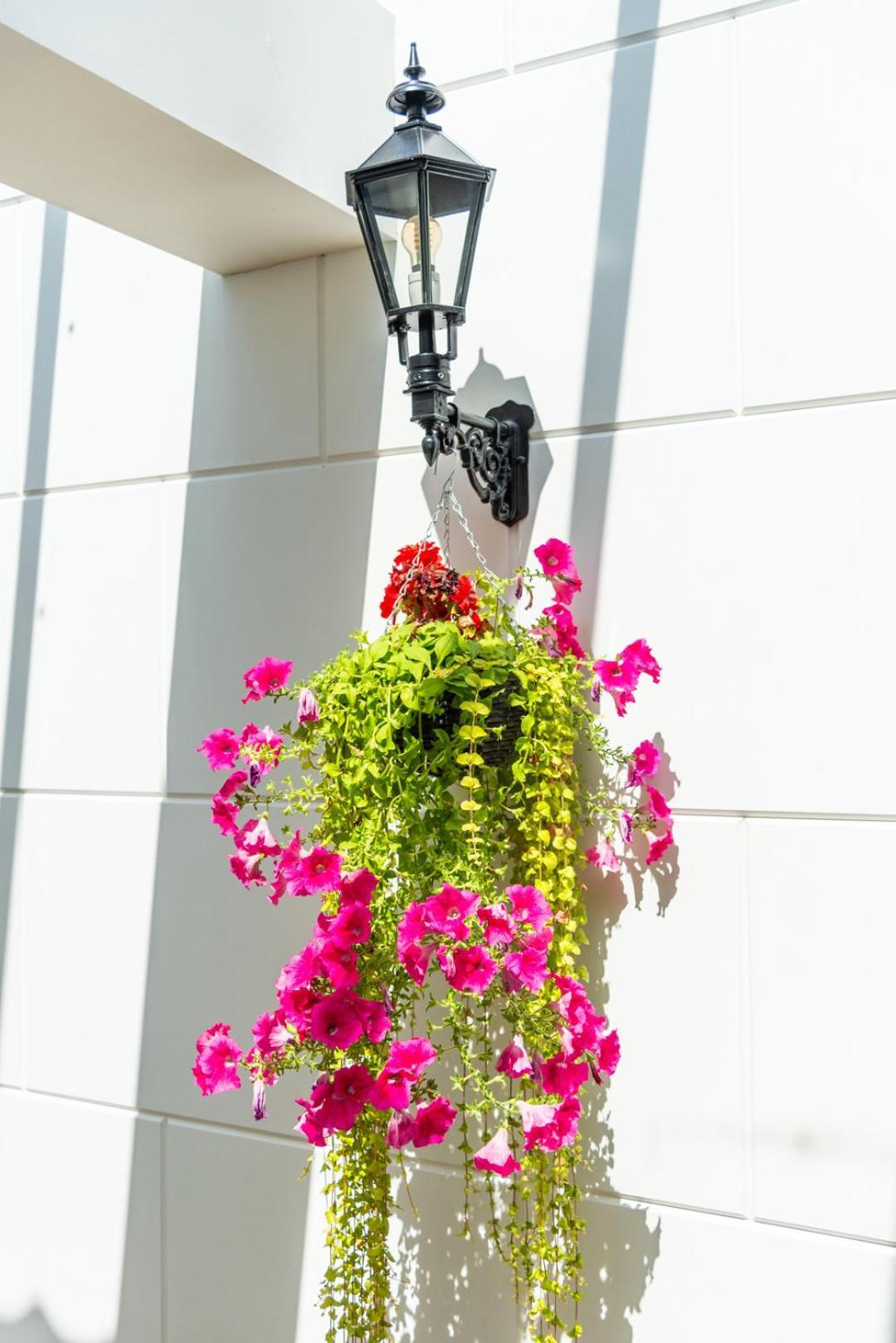 Grapelli Boutique Hotel 阿尔克马尔 外观 照片